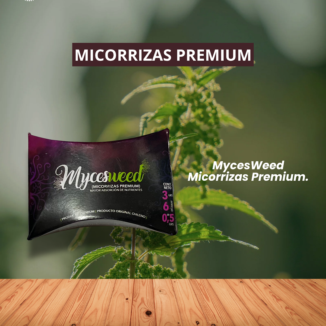 MICORRIZAS 6 GRS /NUTRIWEED 1