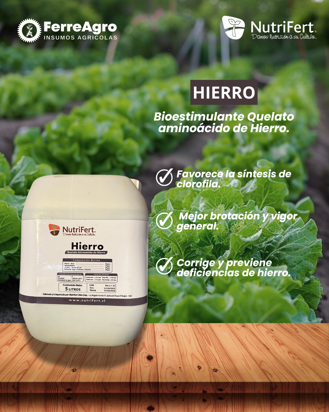 NUTRIFERT HIERRO 5L