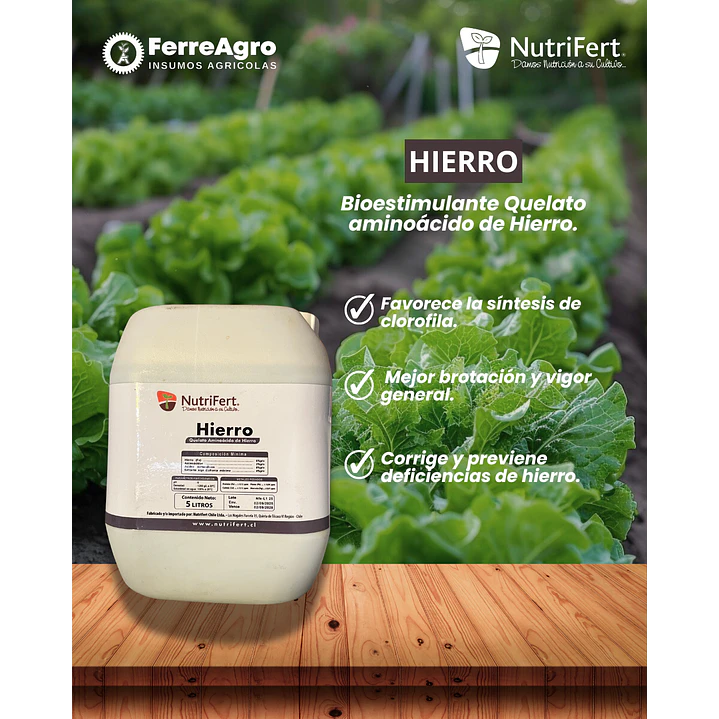 NUTRIFERT HIERRO 5L 1