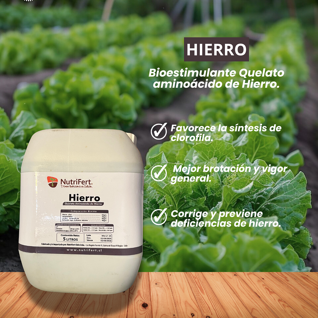 NUTRIFER BIOESTIMULANTE HIERRO 5 1