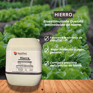 NUTRIFER BIOESTIMULANTE HIERRO 5