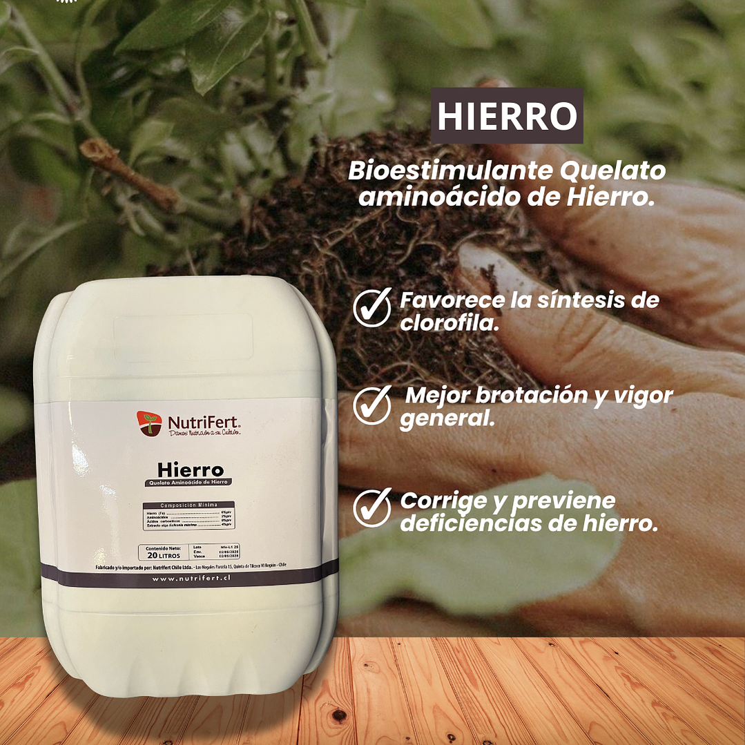 NUTRIFERT BIOESTIMULANTE HIERRO 20 LITROS 1