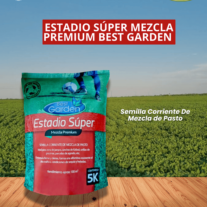 BEST GARDEN ESTADIO SÚPER PREMIUM  1