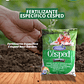 BEST GARDEN FERTILIZANTE ESPECIFICO CÉSPED - Miniatura 2
