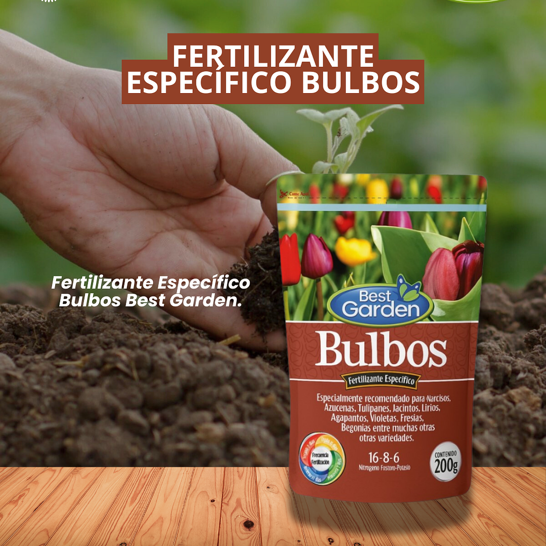BEST GARDEN FERTILIZANTE ESPECÍFICO BULBOS  1