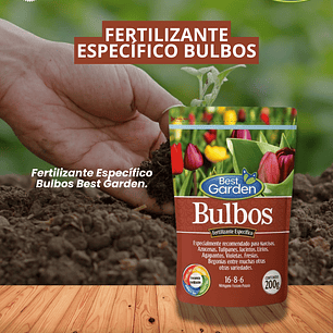 BEST GARDEN FERTILIZANTE ESPECÍFICO BULBOS 