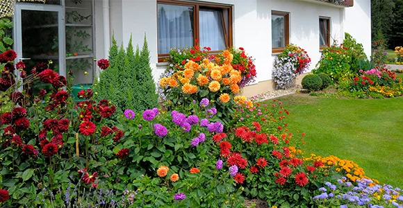 CASA Y JARDÍN
