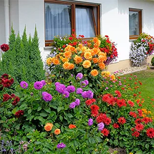 CASA Y JARDÍN