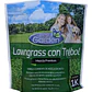 Semilla De Césped Lawngrass C/trébol Premium 1kg Best Garden - Miniatura 1