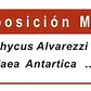 NUTRIFERT ALGA RED + 1L - Miniatura 2