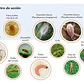 Insecticida Bifentrin 250cc - Miniatura 4