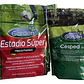 Semilla De Cesped Estadio 1 Kg + Fert De Cesped 1 Kg - Miniatura 1