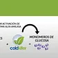 Coldkiller Protector Antiheladas Bioestimulante 1L - Miniatura 5