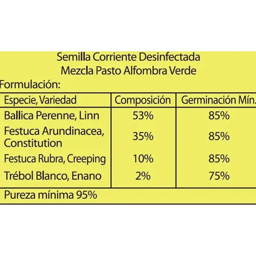 Semilla Césped Alfombra Verde Mezcla De Pasto Premium 1 Kg 2