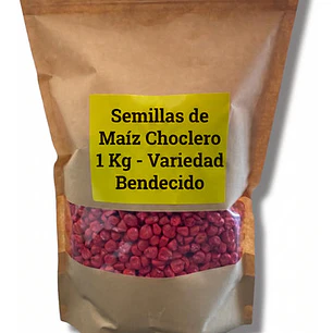 Semillas Corriente De Maíz Choclero Bendecido CIS 1 Kg