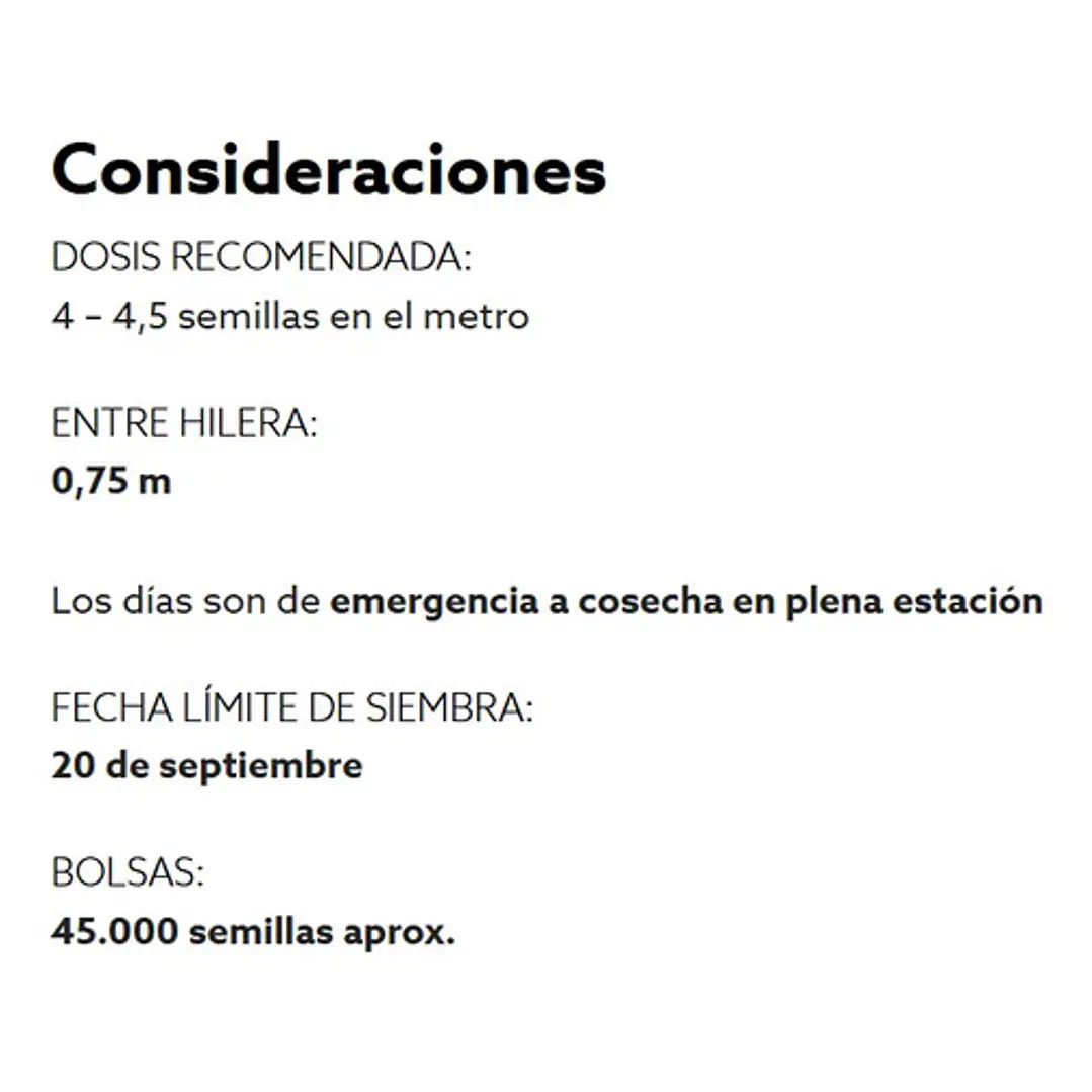 Semillas Corriente De Maíz Choclero Bendecido CIS 1 Kg 3
