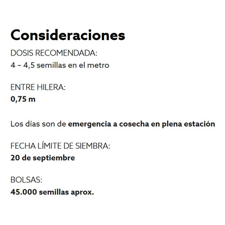 Semillas Corriente De Maíz Choclero Bendecido CIS 1 Kg 3