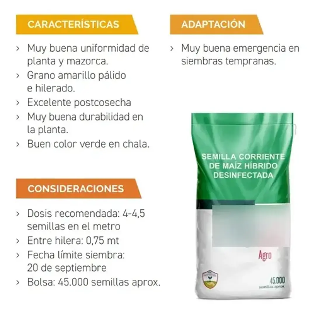 Semillas Corriente De Maíz Choclero Bendecido CIS 1 Kg 4