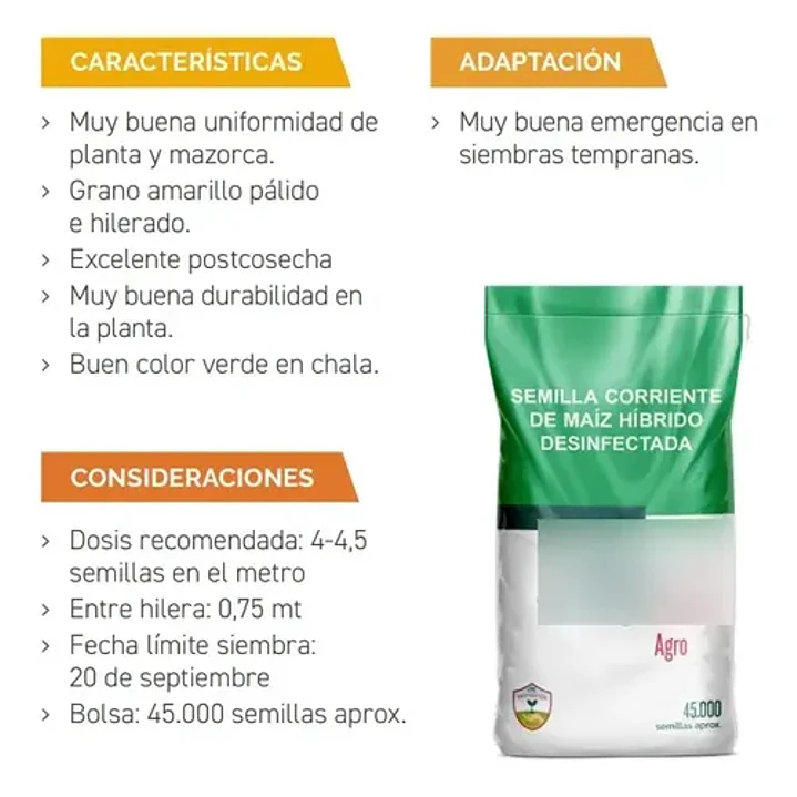 Semillas Corriente De Maíz Choclero Bendecido CIS 1 Kg 4