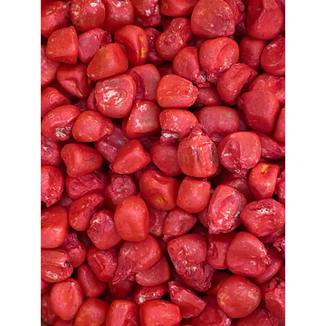 Semillas Corriente De Maíz Choclero Bendecido CIS 1 Kg 5