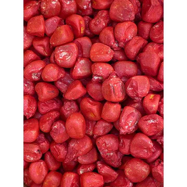 Semillas Corriente De Maíz Choclero Bendecido CIS 1 Kg 5