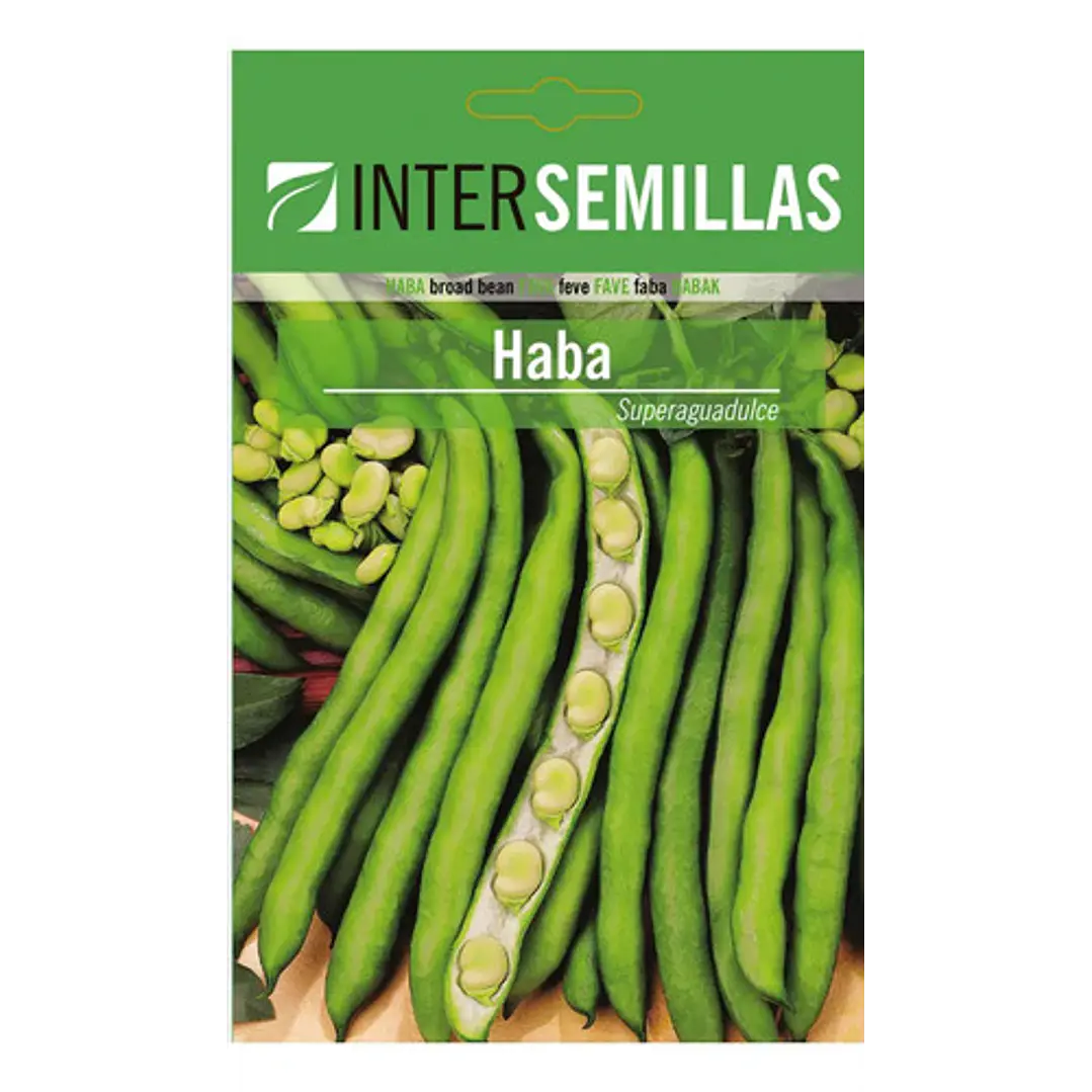 Semilla Corriente Haba Super Agua Dulce 1 Kg Intersemillas 2