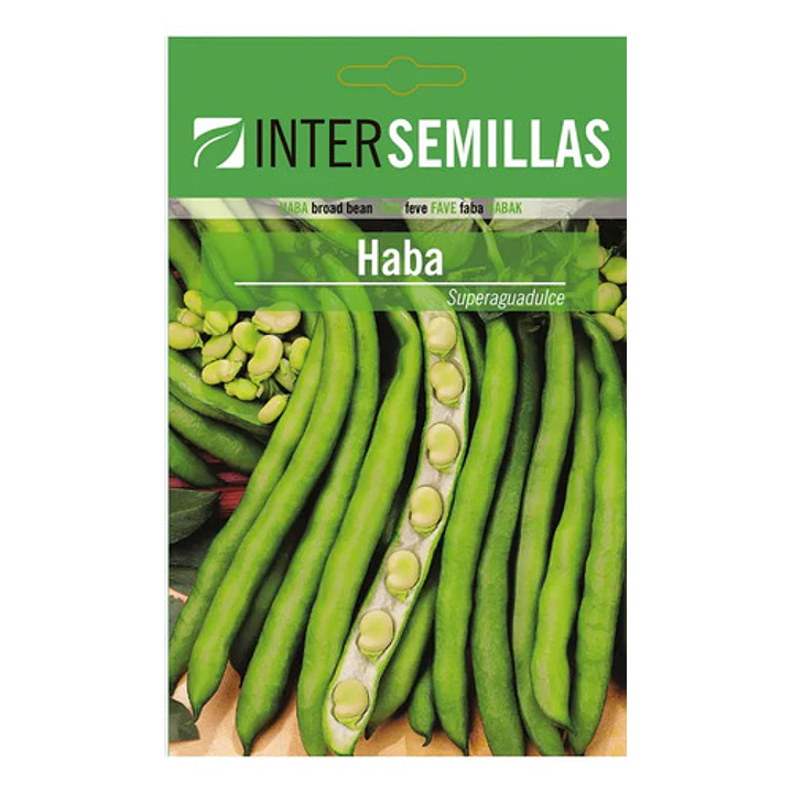 Semilla Corriente Haba Super Agua Dulce 1 Kg Intersemillas 2
