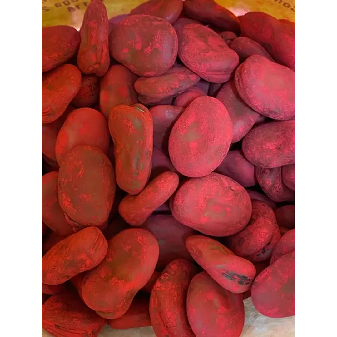 Semilla Corriente Haba Super Agua Dulce 1 Kg Intersemillas 3