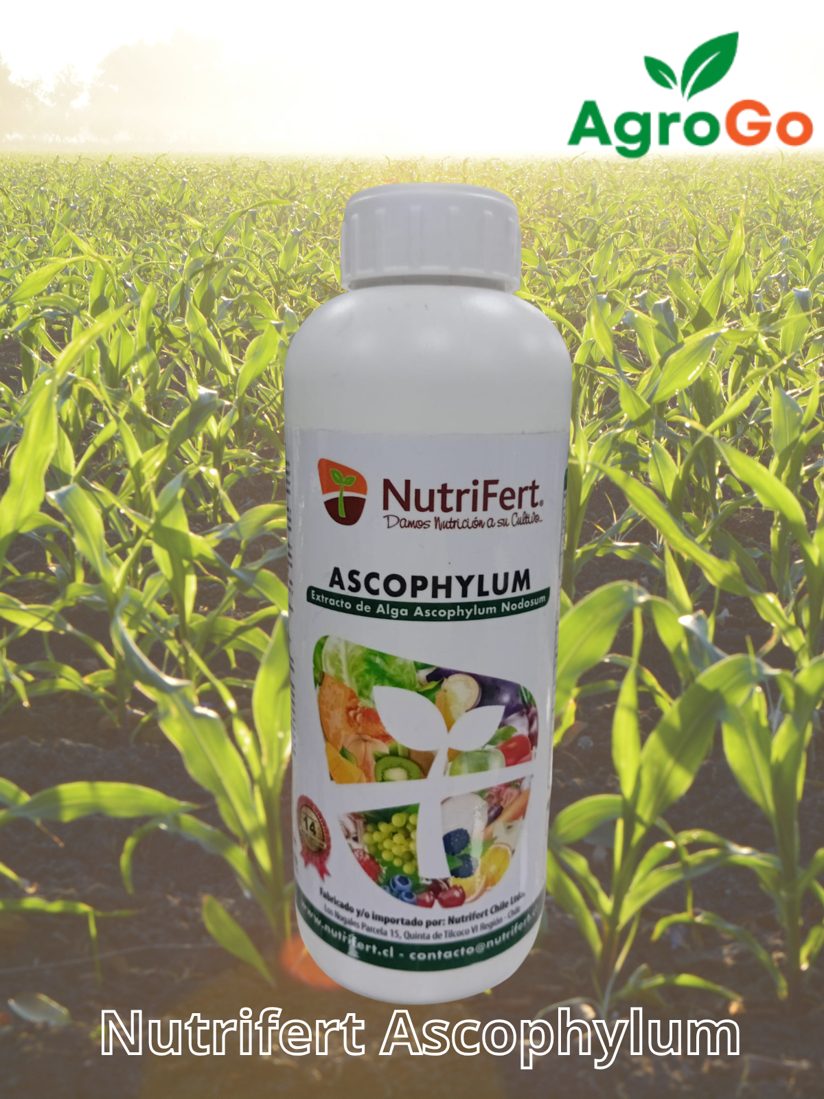 Nutrifert Alga Ascophyllum 1L