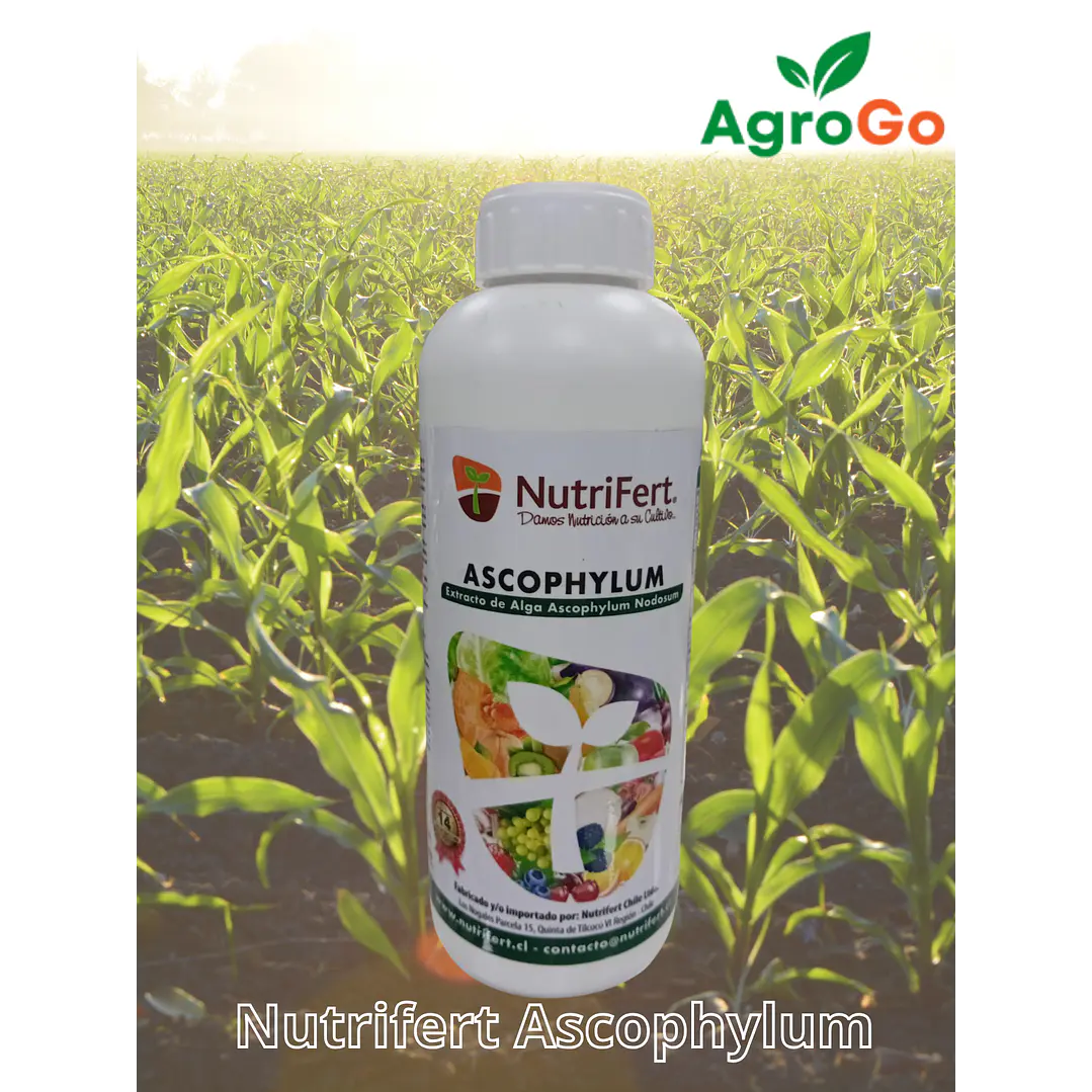 Nutrifert Alga Ascophyllum  1L 1