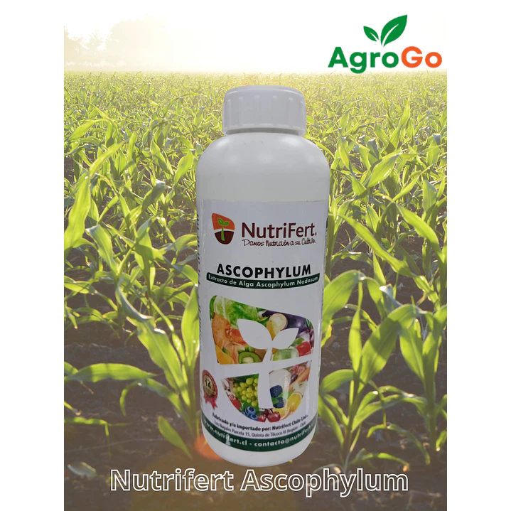 Nutrifert Alga Ascophyllum  1L 1