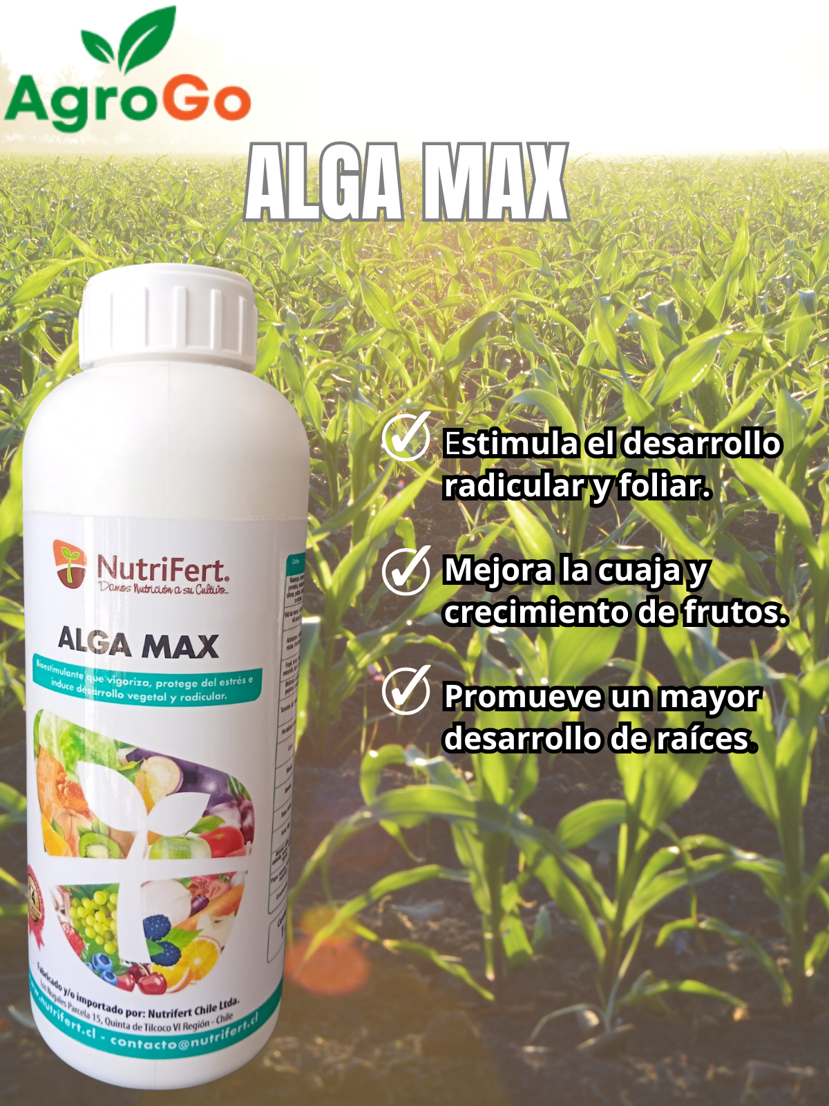 Nutrifert Alga Max 1l
