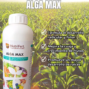 Nutrifert Alga Max 1l