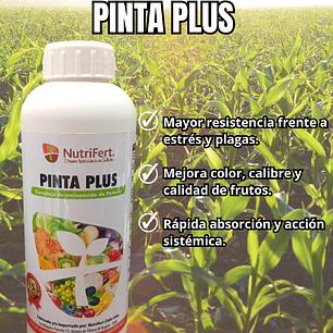Nutrifert Potasio Pinta Plus 1L