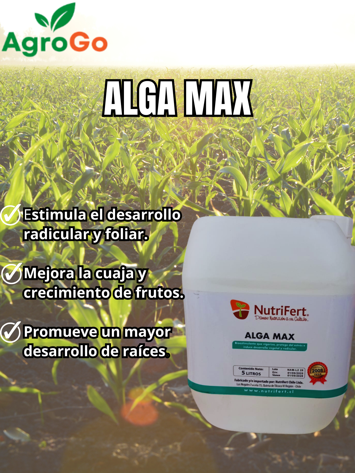 Nutrifert Alga Max 5L
