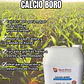 NUTRIFERT CALCIO BORO 5L - Miniatura 1