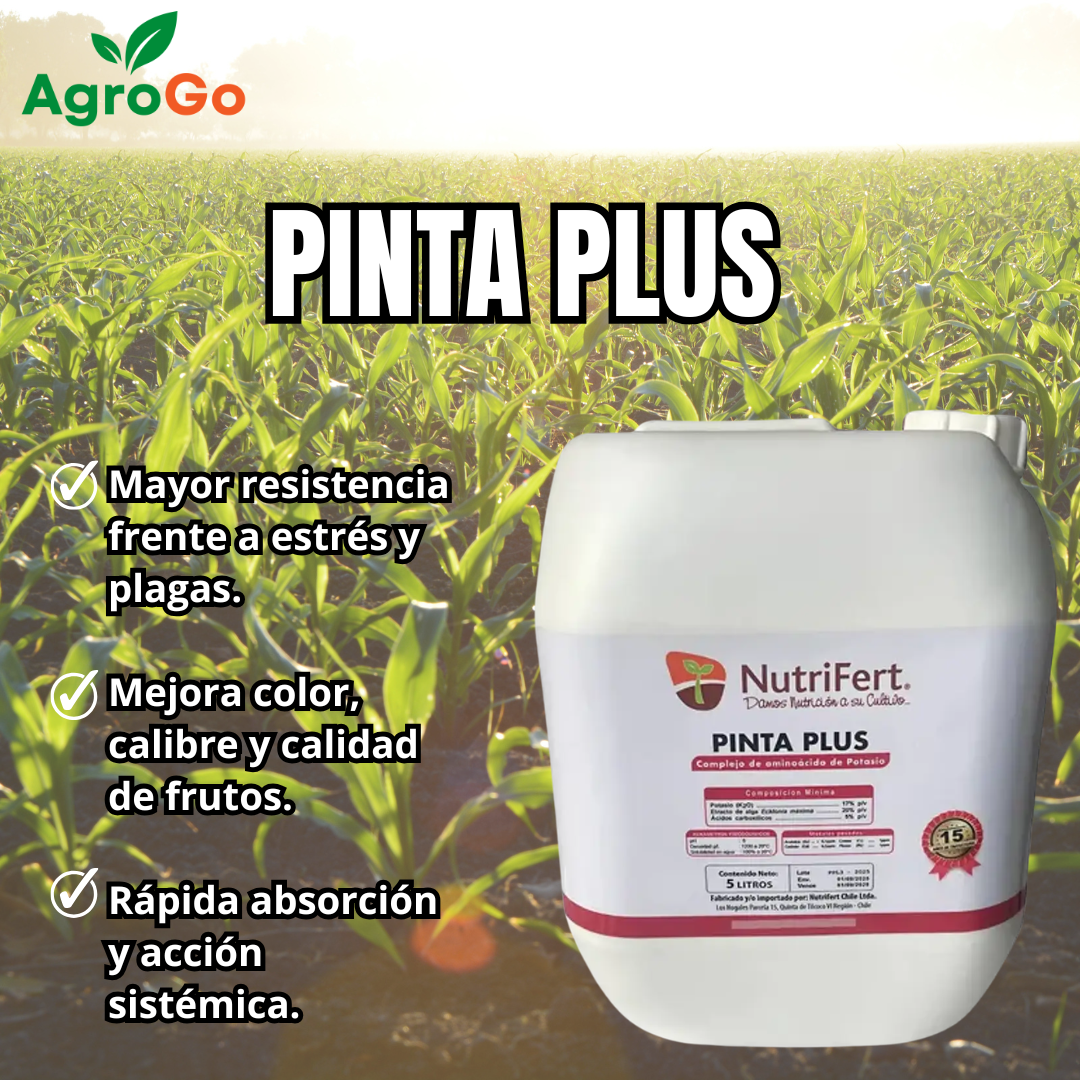 Nutrifert Potasio Pinta Plus 5L