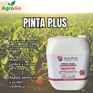 Nutrifert Potasio Pinta Plus 5L