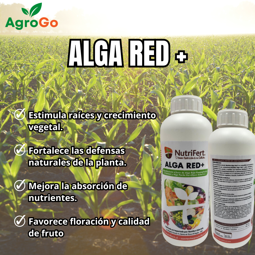 NUTRIFERT ALGA RED + 1L