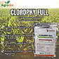 CLOROPHY FULL / ACTIVADOR CLOROFÍLICO Y RECUPERADOR VEGETAL  500gr - NUTRIFERT - Miniatura 1