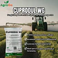 Fungicida Cuprodul WG 1kg - Miniatura 1