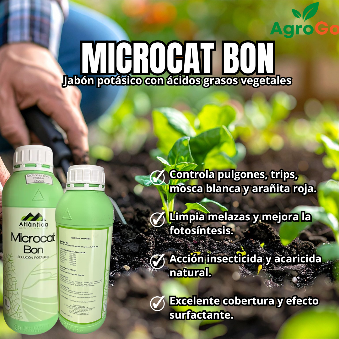 Microcat Bon 1L