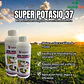 Nutrifert Súper Potasio 37 1L - Miniatura 1