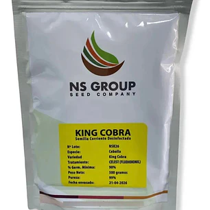 SEMILLA CORRIENTE DESINFECTADA CEBOLLA KING COBRA 500 GRAMOS