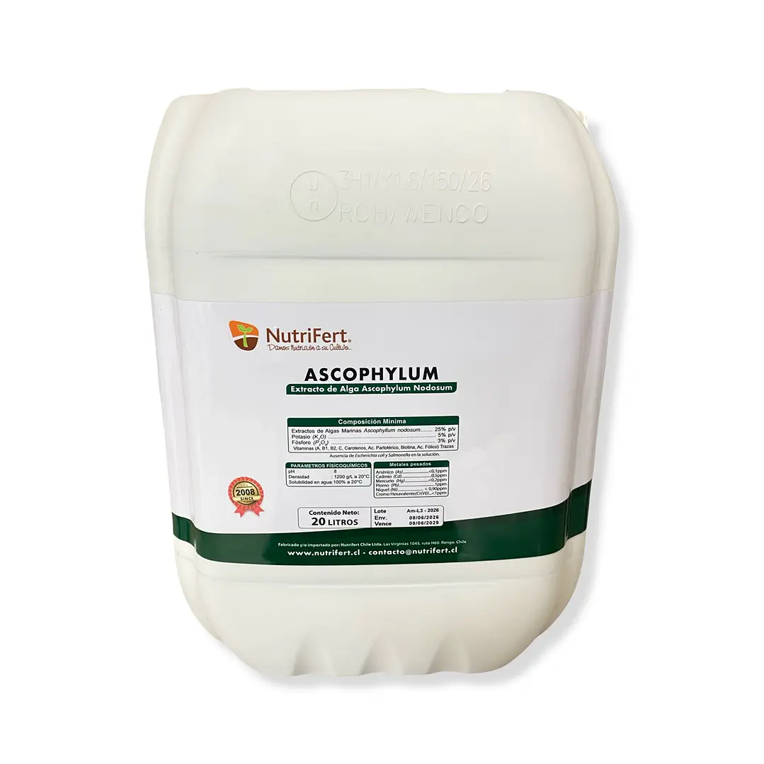 BIOESTIMULANTE ASCOPHYLUM 20 LITROS NUTRIFERT  1