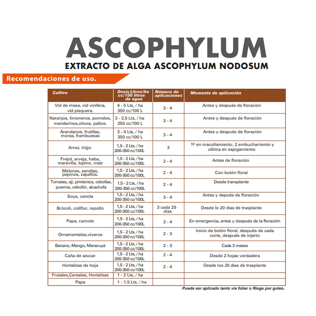 BIOESTIMULANTE ASCOPHYLUM 20 LITROS NUTRIFERT  3