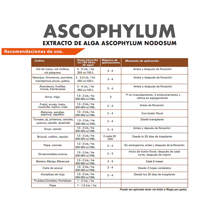 BIOESTIMULANTE ASCOPHYLUM 20 LITROS NUTRIFERT  3