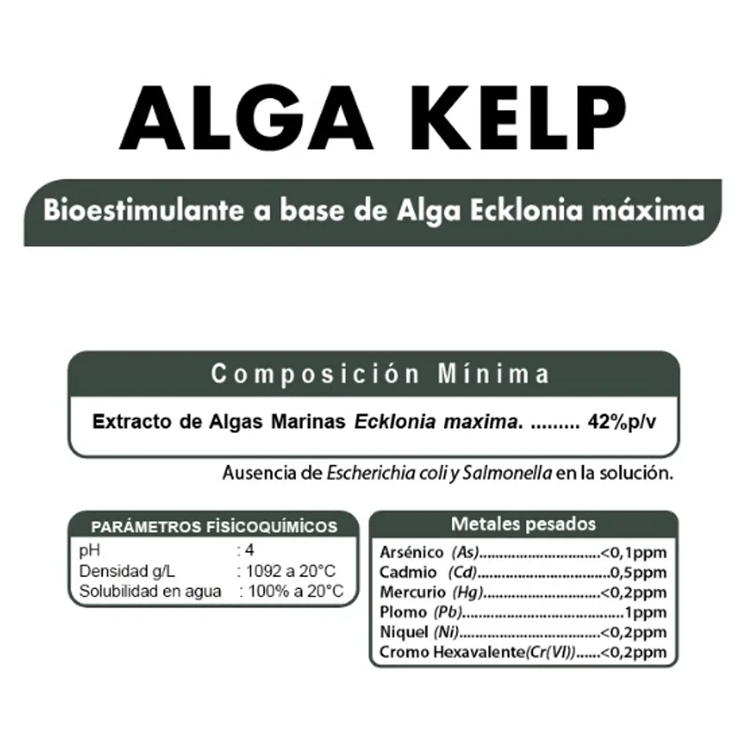 BIOESTIMULANTE ALGA KELP ECKLONIA MAXIMA 42% - 20 LITROS NUTRIFERT  2
