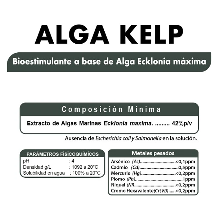 BIOESTIMULANTE ALGA KELP ECKLONIA MAXIMA 42% - 20 LITROS NUTRIFERT  2