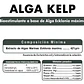 BIOESTIMULANTE ALGA KELP ECKLONIA MAXIMA 42% - 20 LITROS NUTRIFERT  - Miniatura 2